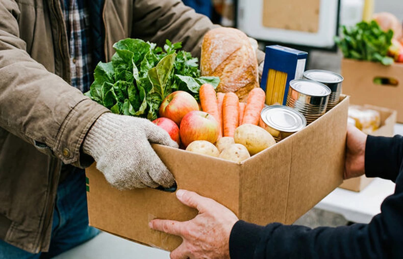 On-Demand Grocery and  Logistics