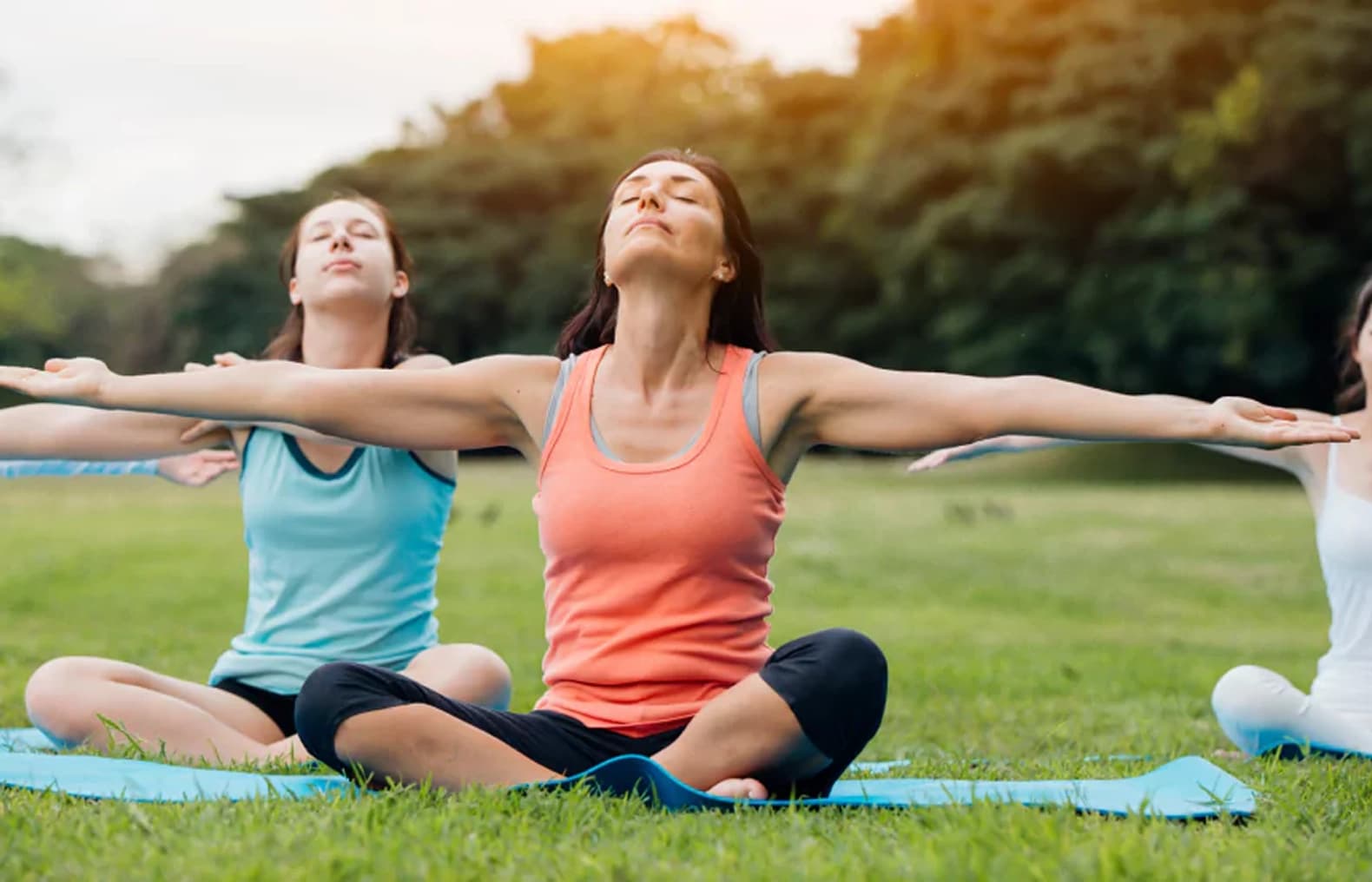 Nutraceuticals and  Wellness Tech