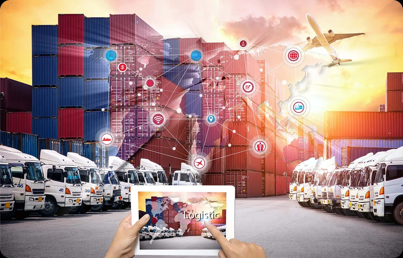 Optimized Supply Network Solutions