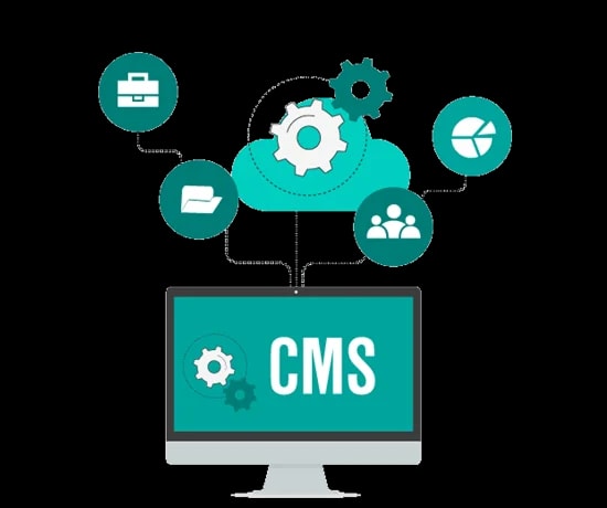 Web Advertisement Illustration