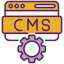 Custom CMS Development