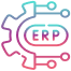 Custom ERP Solutions