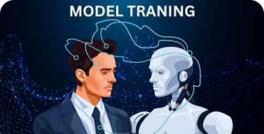 Tailoring Models and Training