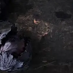 Niche-Based Food Apps