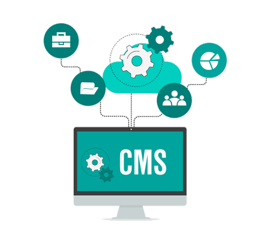 Web Advertisement Illustration