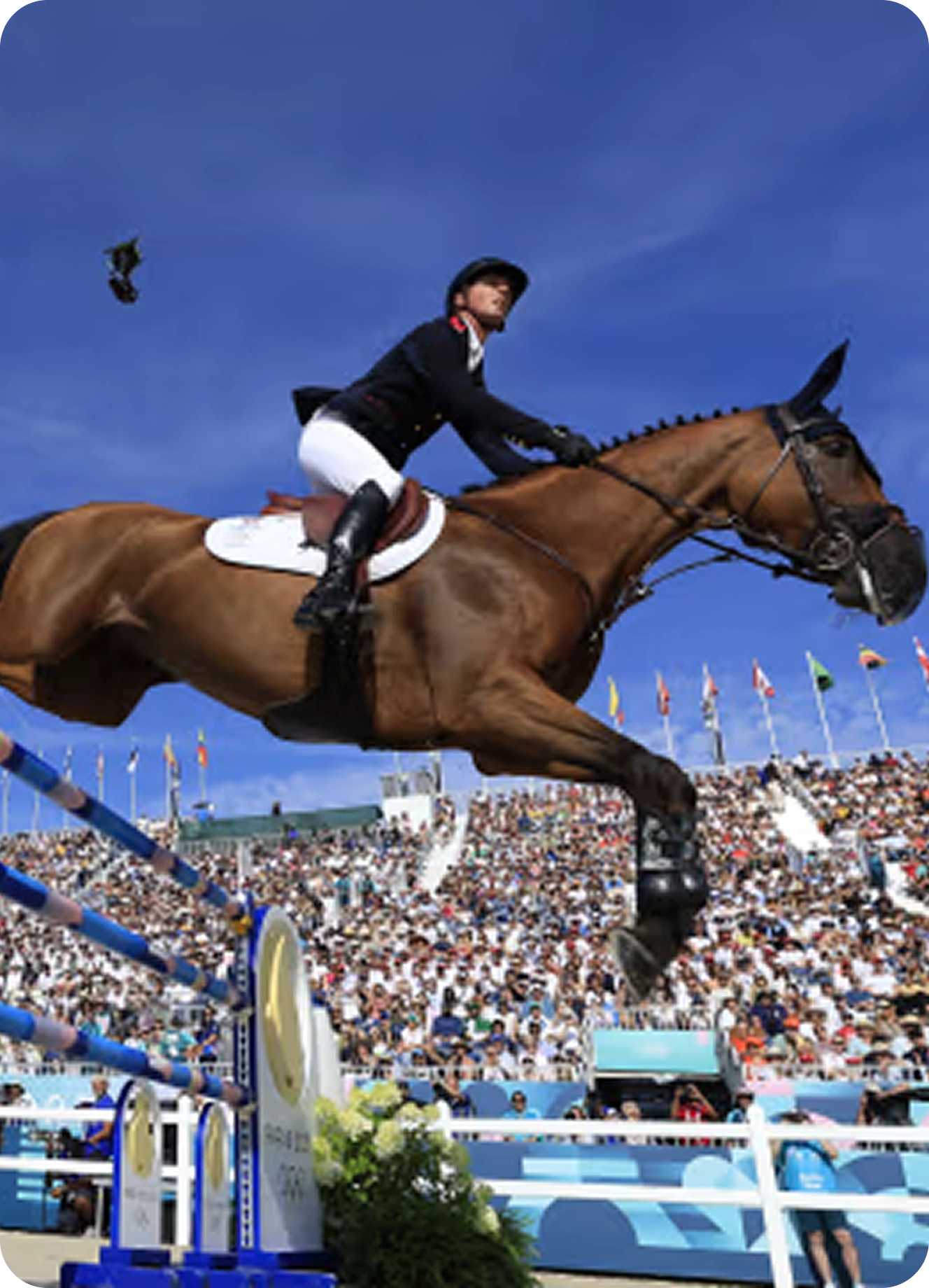 Equestrian Event Management Apps
