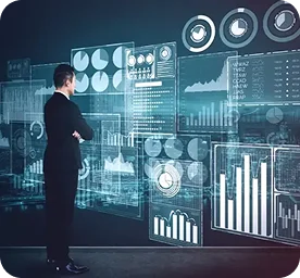 Image Data Labeling Solutions