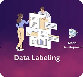 Image Data Labeling