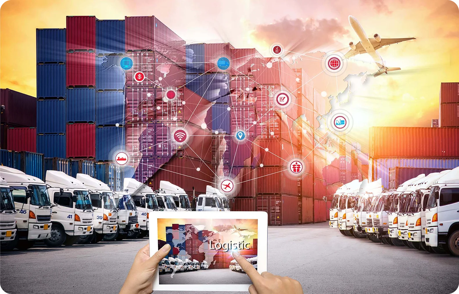 Optimized Supply Network Solutions