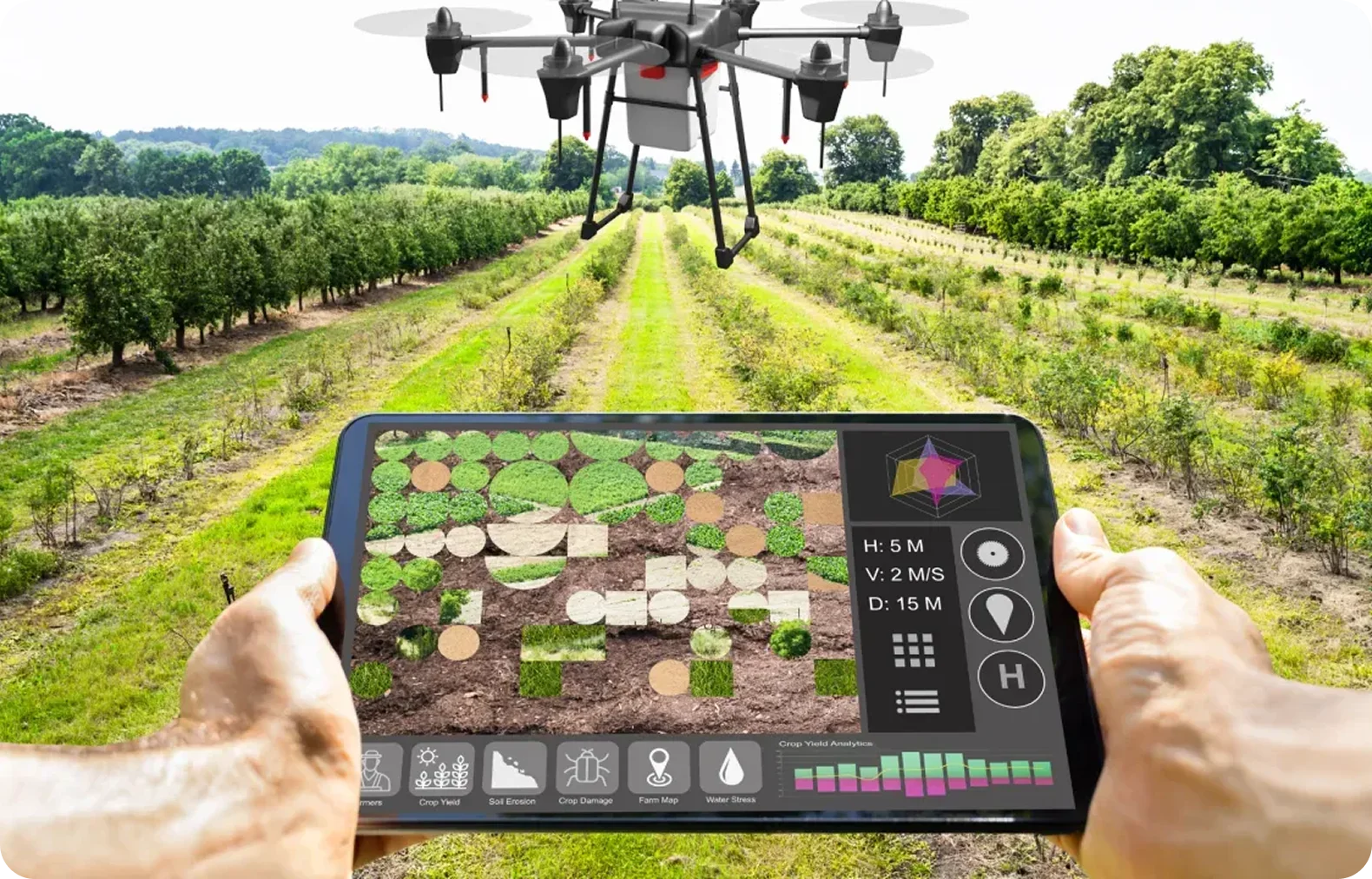 Predictive Asset Yield Modeling