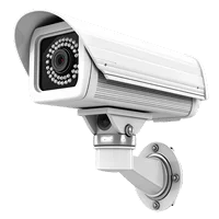Surveillance and Safety Monitoring