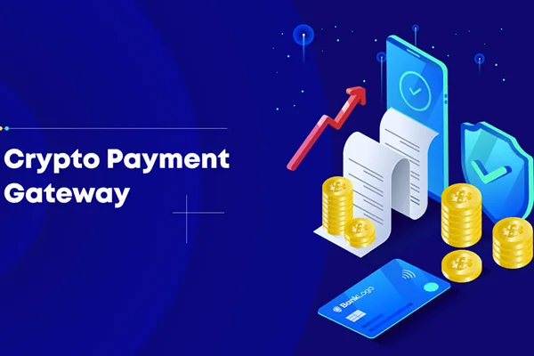 Crypto Payment Gateway Visual