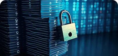Confidentiality & Data Security