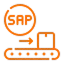 Strategic SAP Consulting