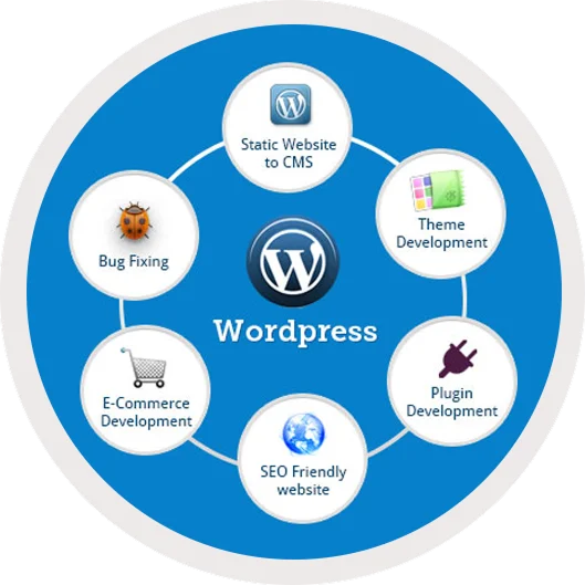 Software Developers Illustration