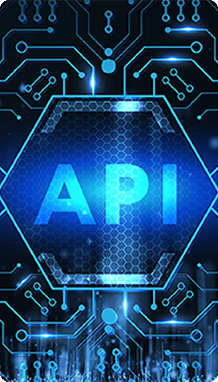 Full API Connectivity