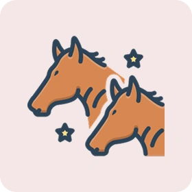 Equine Web Platforms & Online Portals