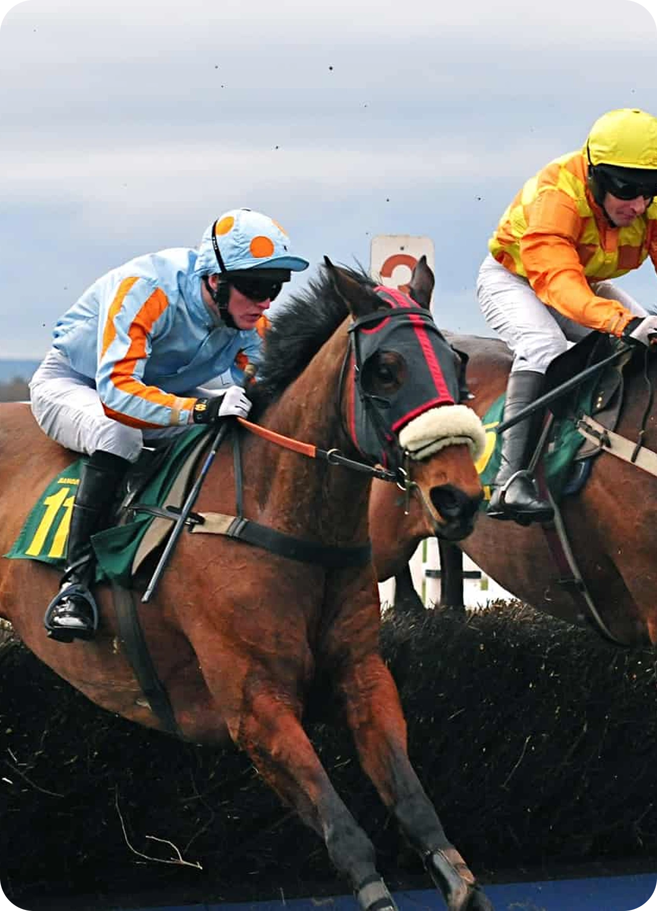 Equestrian Training & Education Apps