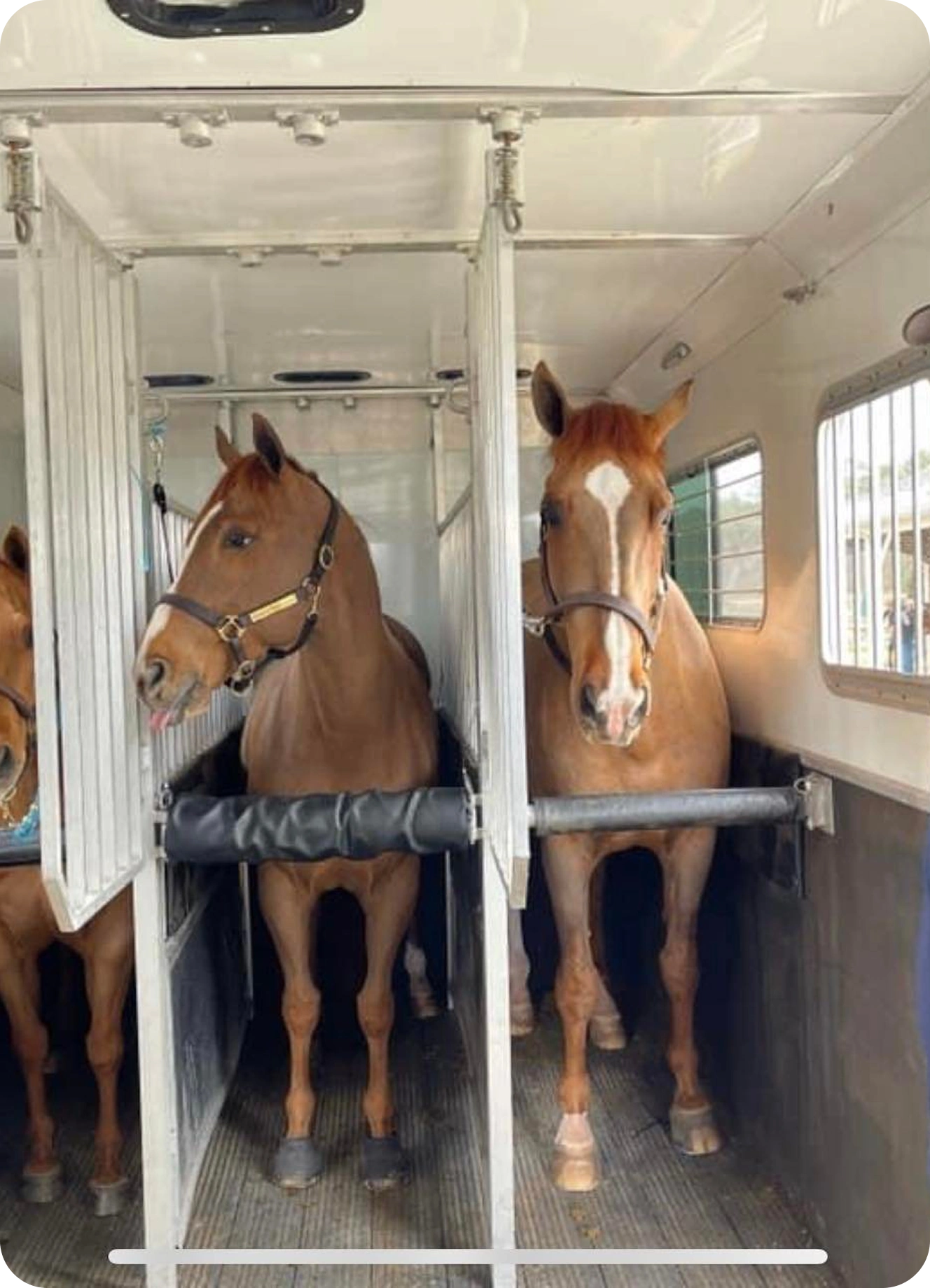 Horse Transport Management Apps