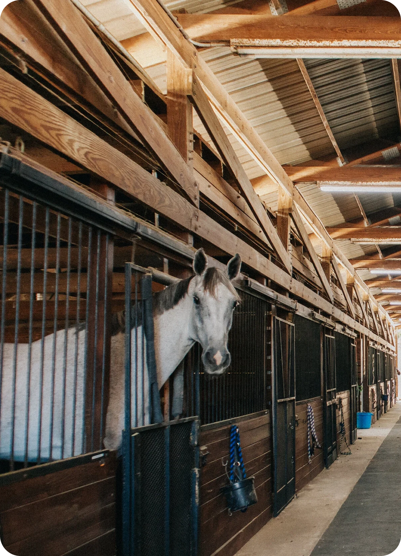 Stable & Facility Management Apps