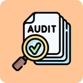 Telecom Audit Software Development