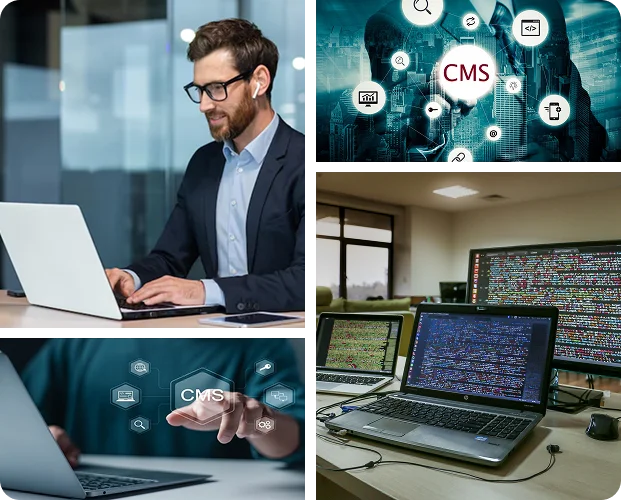 Web Development