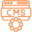 Custom CMS Development