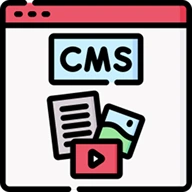 CMS Development Services