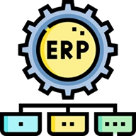 Custom ERP Solutions